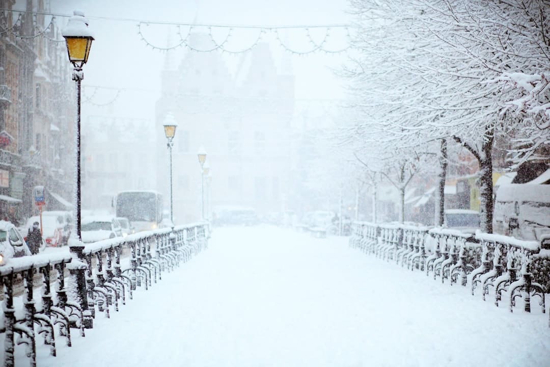 From Tires to Wipers: Preparing Your Vehicle for Winter